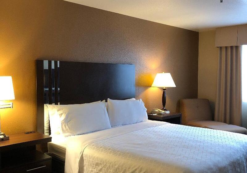 适合残疾人士使用的带超级大床的标准间, Holiday Inn Express Winnemucca, An Ihg