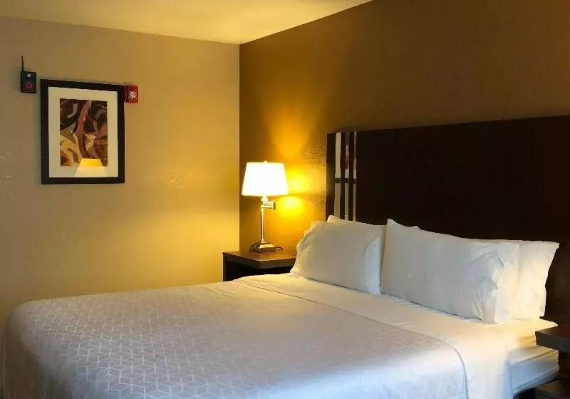 身障者適用キングサイズベッドルーム, Holiday Inn Express Winnemucca, An Ihg