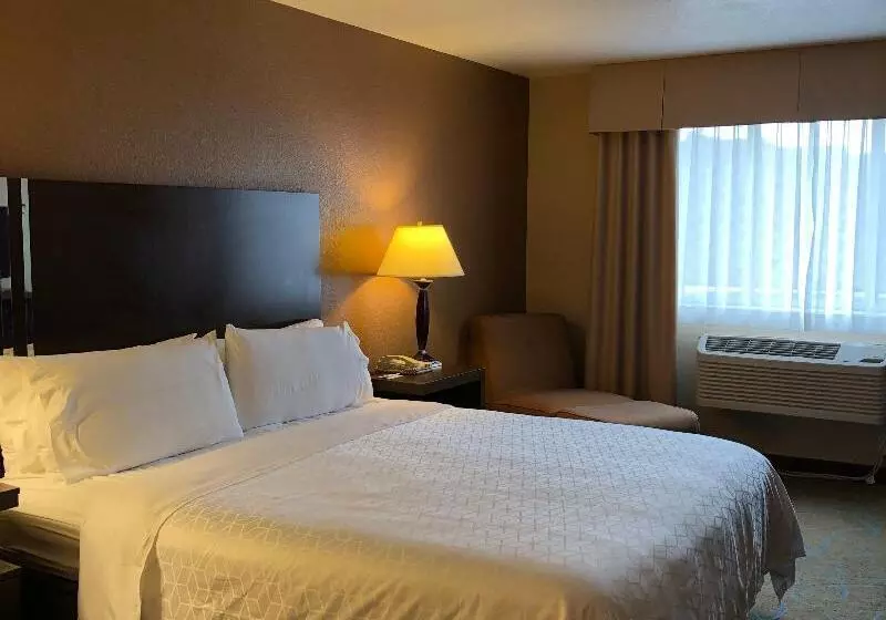 キングサイズベッドのスタンダードルーム, Holiday Inn Express Winnemucca, An Ihg