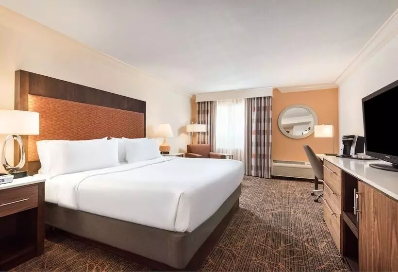 اتاق استاندارد, Holiday Inn Fort Lauderdale Airport, An Ihg
