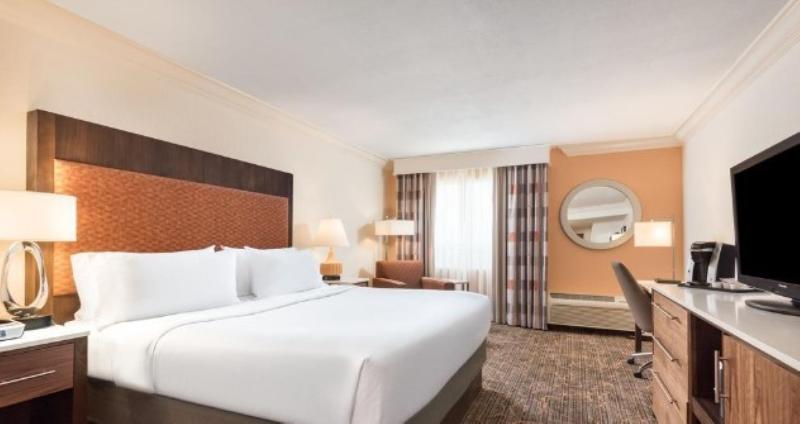 스탠다드 룸 킹사이즈 침대, Holiday Inn Fort Lauderdale Airport, An Ihg