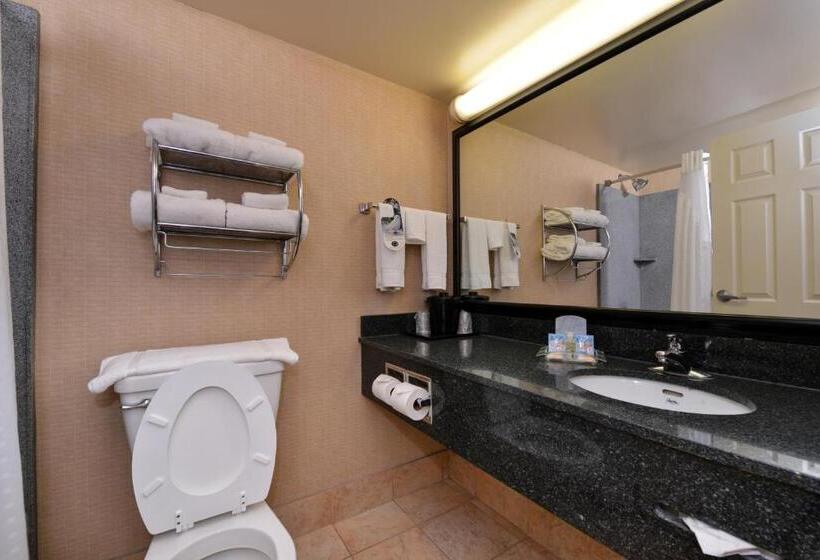 标准间, Holiday Inn Martinsburg, An Ihg