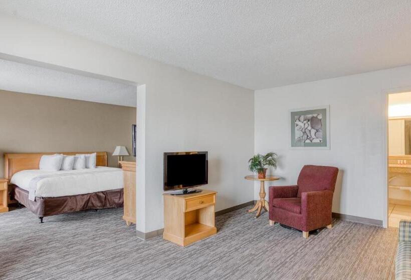 غرفة قياسية سرير كينج لذوى الإحتياجات الخاصة, Quality Inn