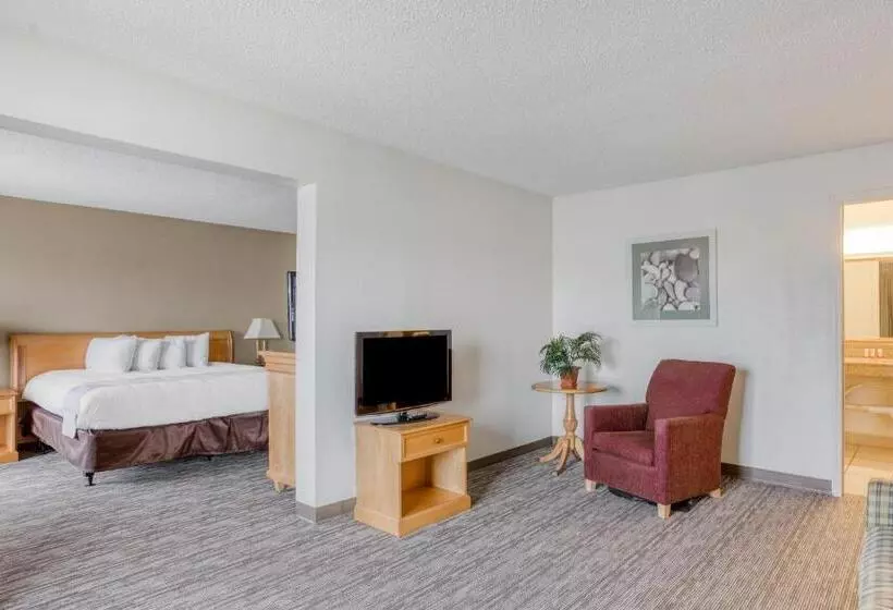 身障者適用キングサイズベッドルーム, Quality Inn
