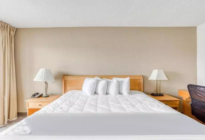身障者適用キングサイズベッドルーム, Quality Inn