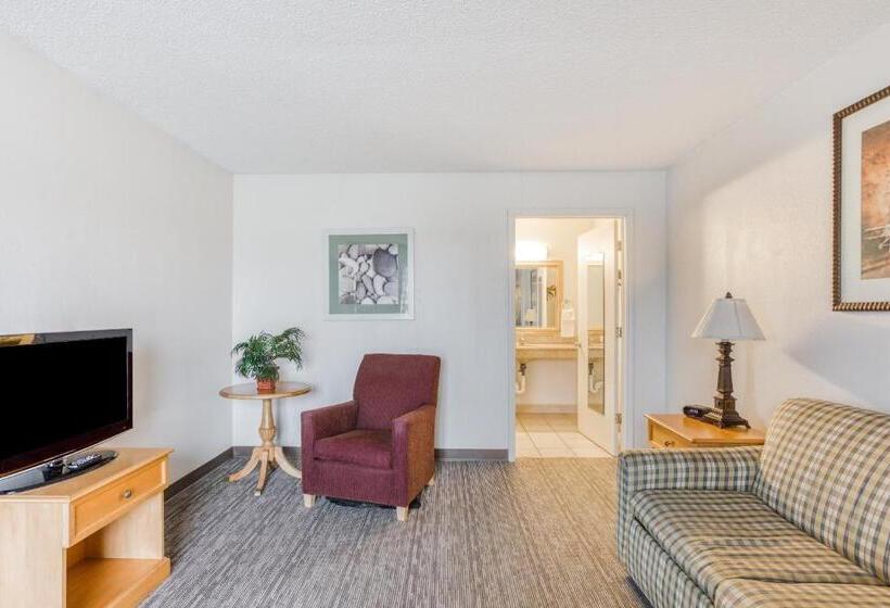 غرفة قياسية سرير كينج لذوى الإحتياجات الخاصة, Quality Inn