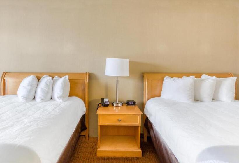 اتاق استاندارد با 2 تخت دوبل, Quality Inn