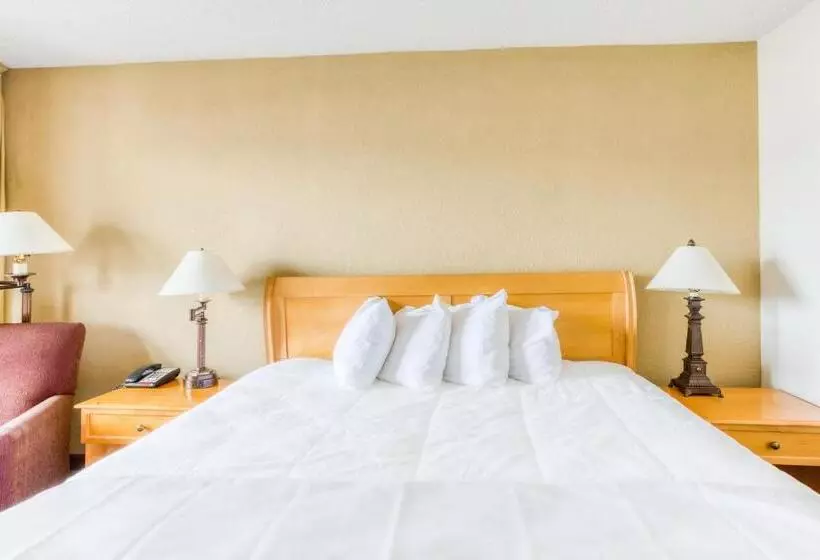 キングサイズベッドのスタンダードルーム, Quality Inn