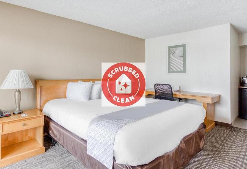 غرفة قياسية سرير كينج, Quality Inn