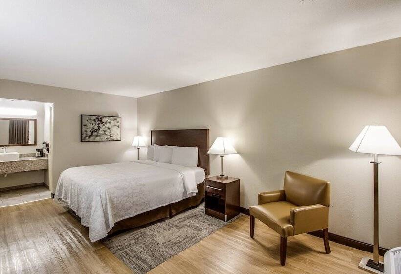 Deluxe Szoba, Red Roof Inn Plus+ Dallas   Addison