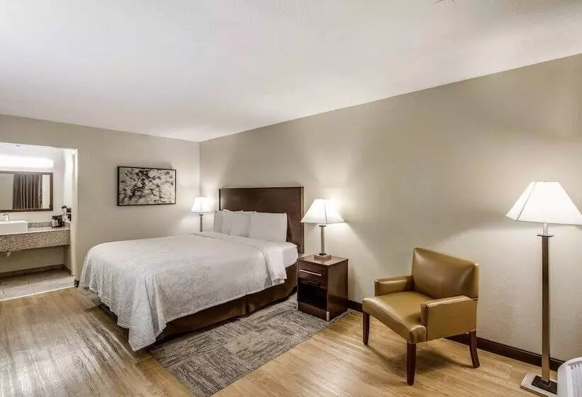 デラックスルーム, Red Roof Inn Plus+ Dallas   Addison