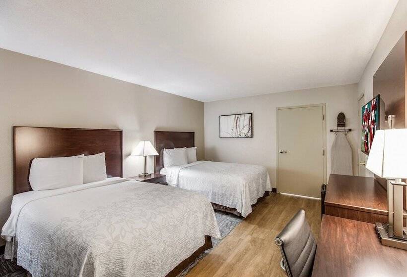 Номер Deluxe, Red Roof Inn Plus+ Dallas   Addison