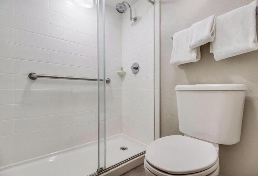 Номер Deluxe, Red Roof Inn Plus+ Dallas   Addison