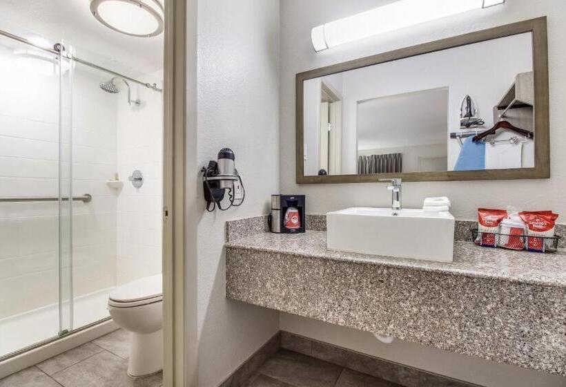 Deluxe Szoba Kind Size Bed, Red Roof Inn Plus+ Dallas   Addison