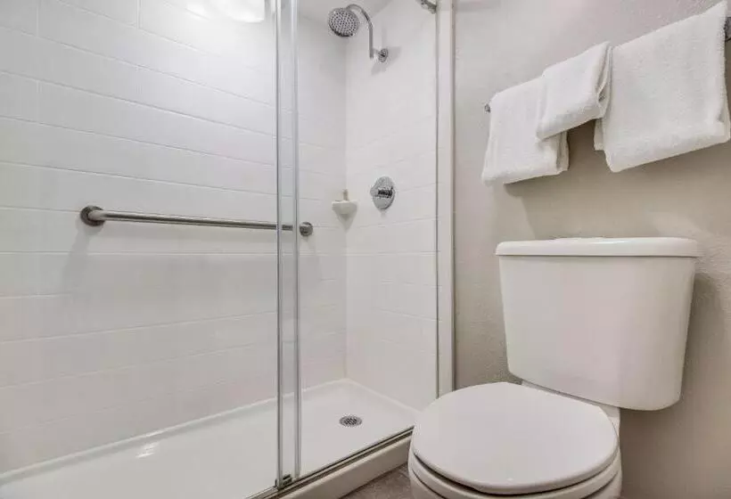 キングサイズベッドのデラックスルーム, Red Roof Inn Plus+ Dallas   Addison