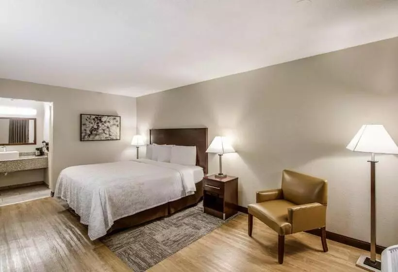 キングサイズベッドのデラックスルーム, Red Roof Inn Plus+ Dallas   Addison