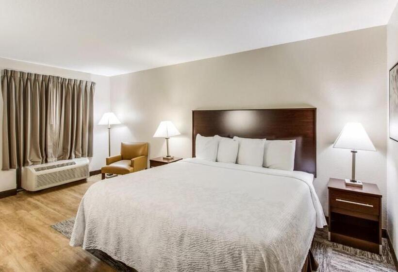 Superior Szoba King Size Bed, Red Roof Inn Plus+ Dallas   Addison