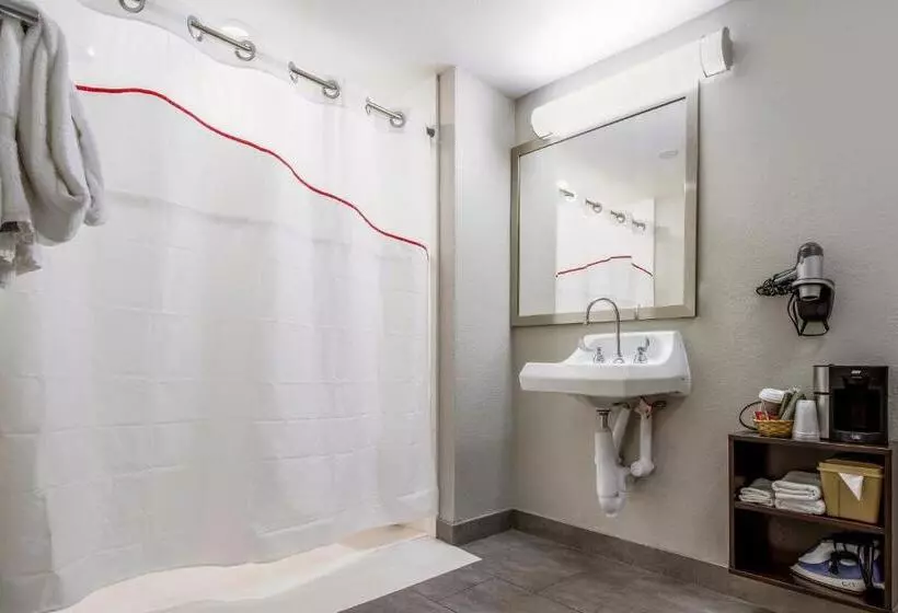 障害者適応デラックスルーム, Red Roof Inn Plus+ Dallas   Addison