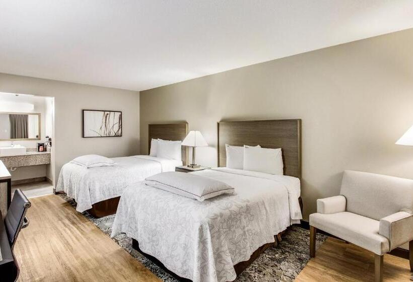 Premium Szoba, Red Roof Inn Plus+ Dallas   Addison