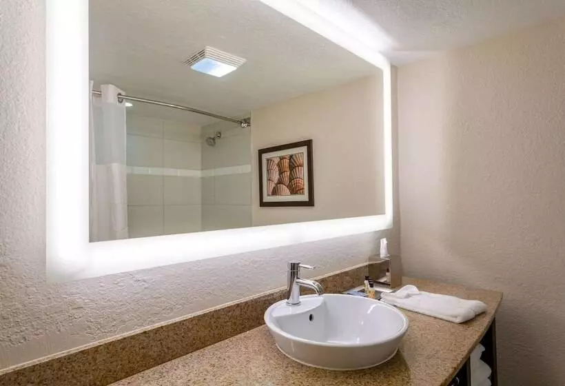 ２ダブルベッドのスタンダードルーム, Wyndham Boca Raton