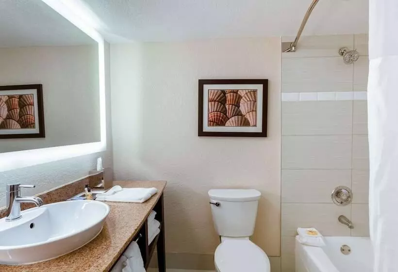 ２ダブルベッドのスタンダードルーム, Wyndham Boca Raton