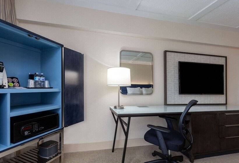 غرفه قياسيه سريرين مزدوجين, Wyndham Boca Raton