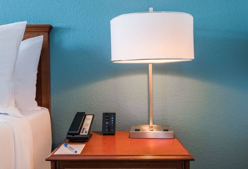 غرفه قياسيه سريرين مزدوجين, Wyndham Boca Raton