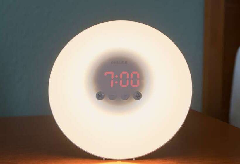 غرفه قياسيه سريرين مزدوجين, Wyndham Boca Raton