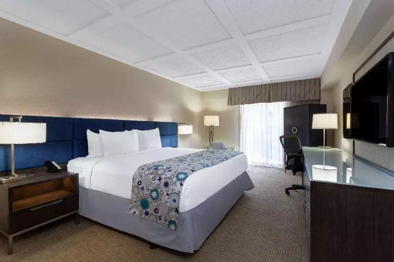 スタンダードルーム, Wyndham Boca Raton