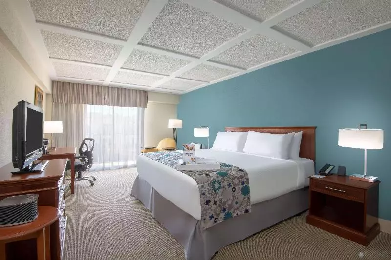 キングサイズベッドのスタンダードルーム, Wyndham Boca Raton