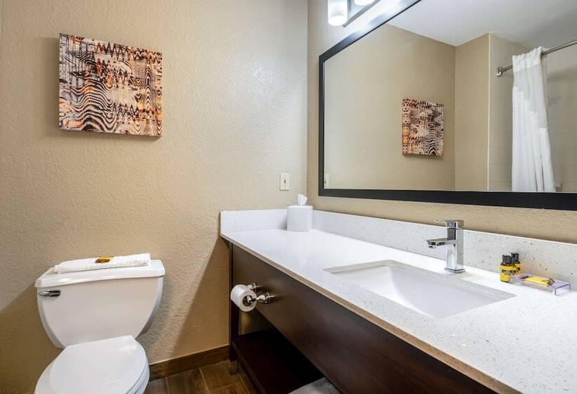 غرفه قياسيه سريرين مزدوجين, Best Western Plus Warsaw