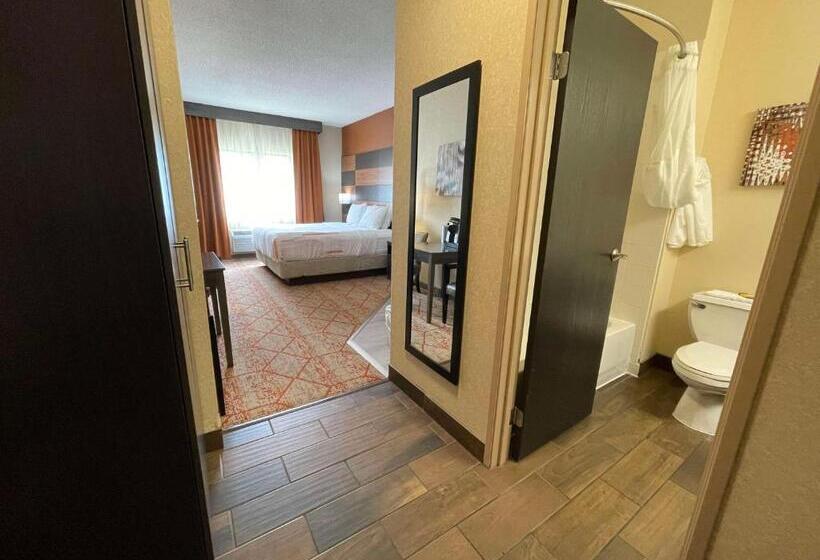 غرفة قياسية سرير كينج, Best Western Plus Warsaw