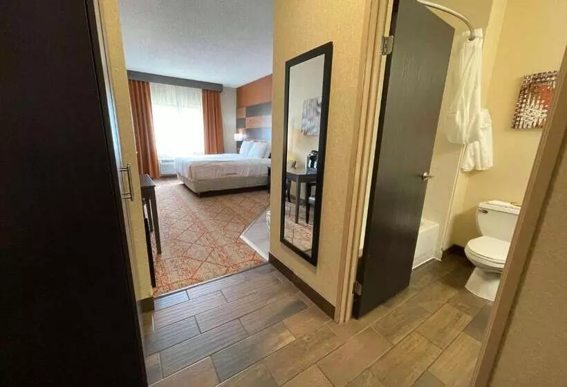 キングサイズベッドのスタンダードルーム, Best Western Plus Warsaw