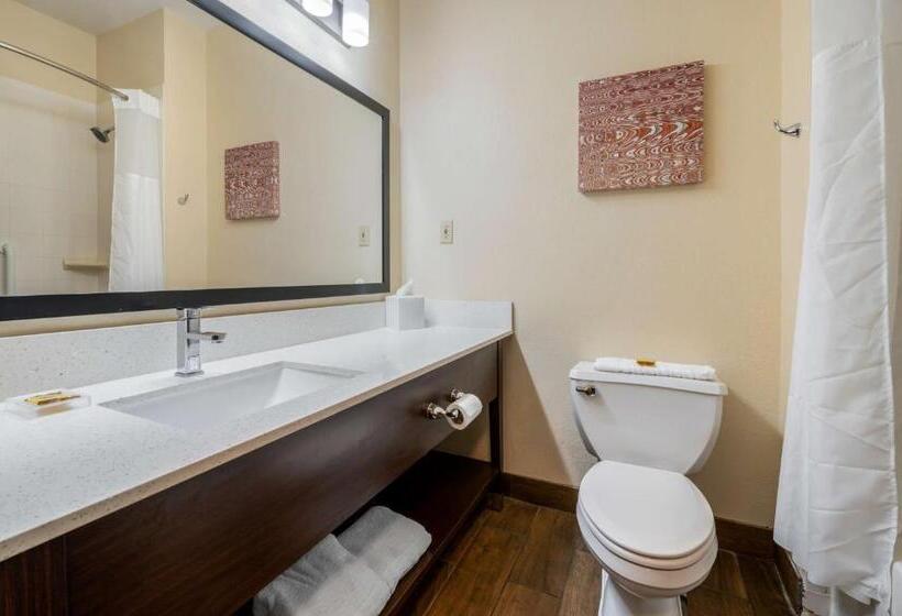 غرفه قياسيه سريرين مزدوجين, Best Western Plus Warsaw