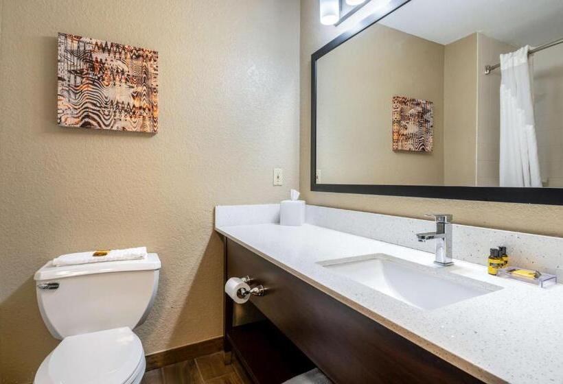 غرفه قياسيه سريرين مزدوجين, Best Western Plus Warsaw