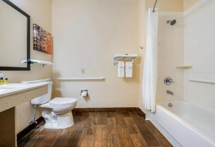 身障者適用キングサイズベッドルーム, Best Western Plus Warsaw