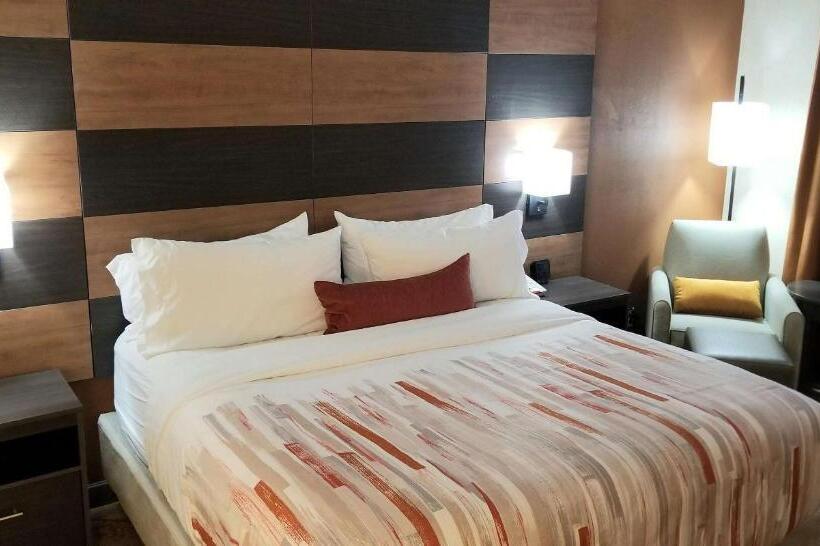 Номер Стандарт Кровать Кинг Адаптированный для Инвалидов, Best Western Plus Warsaw