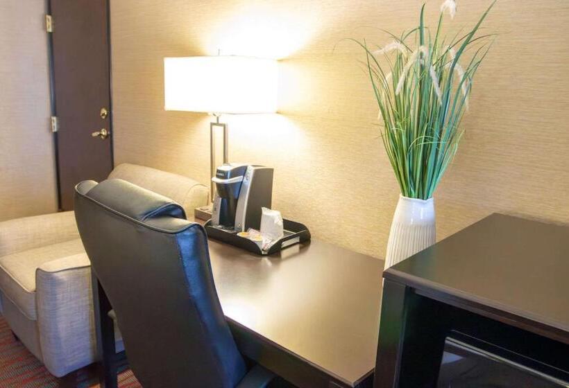 Номер Стандарт Кровать Кинг Адаптированный для Инвалидов, Country Inn & Suites By Radisson, Garden City, Ks