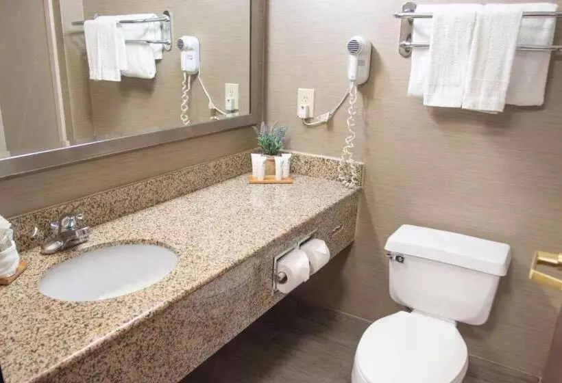 キングサイズベッドのデラックススイート, Country Inn & Suites By Radisson, Garden City, Ks