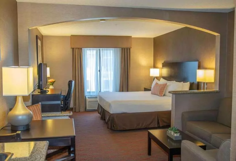 キングサイズベッドのデラックススイート, Country Inn & Suites By Radisson, Garden City, Ks