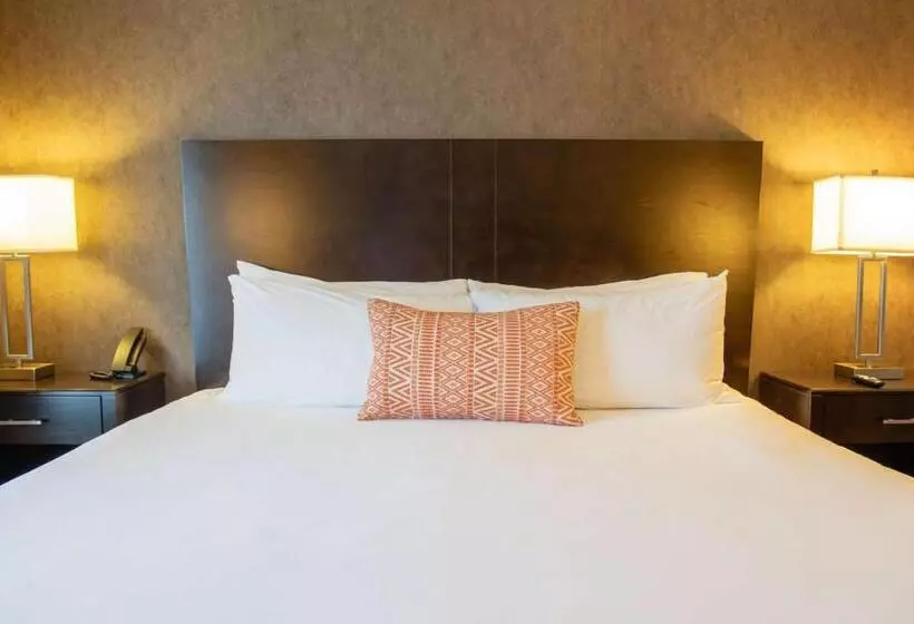 キングサイズベッドのスイートルーム, Country Inn & Suites By Radisson, Garden City, Ks