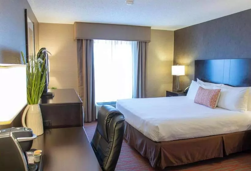 キングサイズベッドのスイートルーム, Country Inn & Suites By Radisson, Garden City, Ks