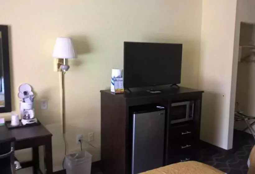 身障者適用キングサイズベッドルーム, Days Inn & Suites By Wyndham Port Richey