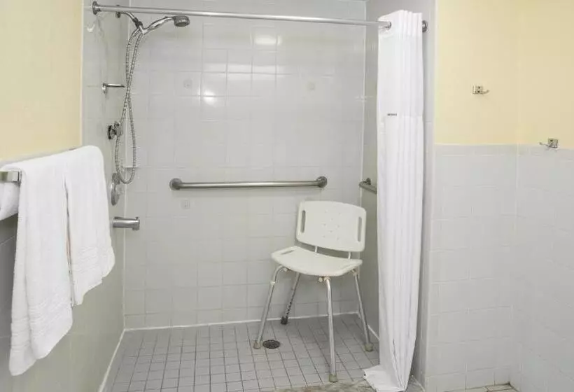 身障者適用キングサイズベッドルーム, Days Inn & Suites By Wyndham Port Richey