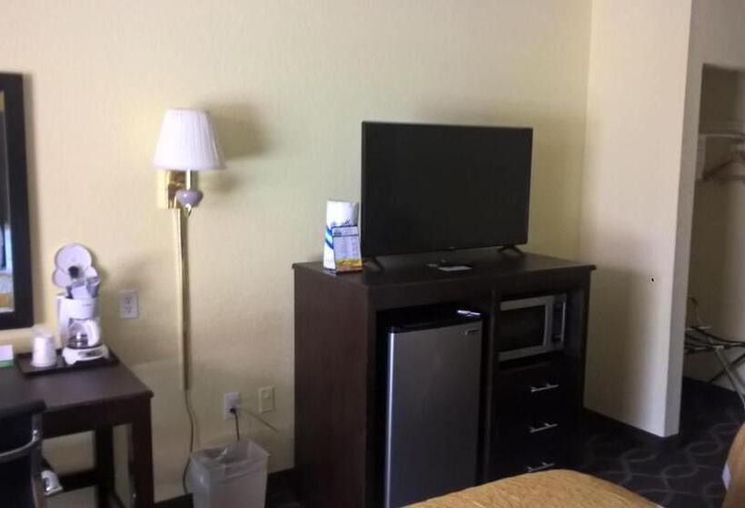 스탠다드 룸 킹사이즈 침대, Days Inn & Suites By Wyndham Port Richey