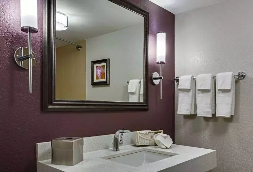 ２ダブルベッドのスタンダードルーム, Doubletree By Hilton Hotel Orlando East   Ucf Area
