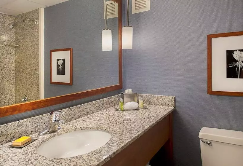 デラックスルーム, Doubletree By Hilton St. Louis   Westport