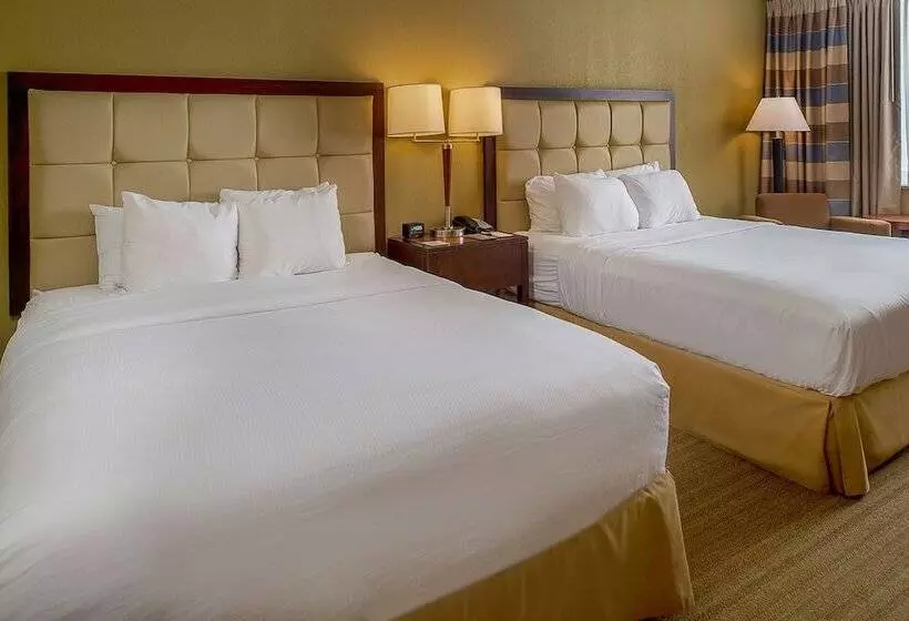 デラックスルーム, Doubletree By Hilton St. Louis   Westport