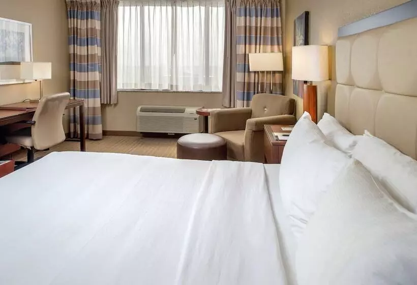 デラックスルーム, Doubletree By Hilton St. Louis   Westport