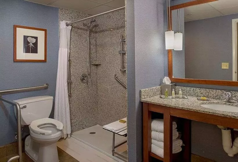 身障者適用スタンダードルーム, Doubletree By Hilton St. Louis   Westport